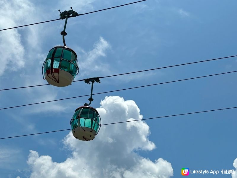 上星期去了海洋公園，坐了山頂纜車?，去睇了?盈盈/樂樂，水族...