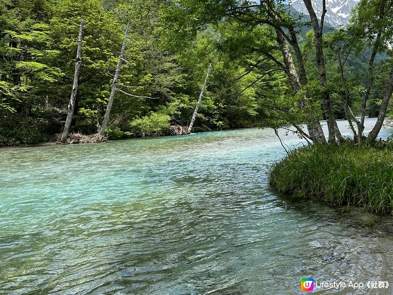 雪山景是我n年前在巴基斯坦行山攝Lily,其他照片是在近期旅...