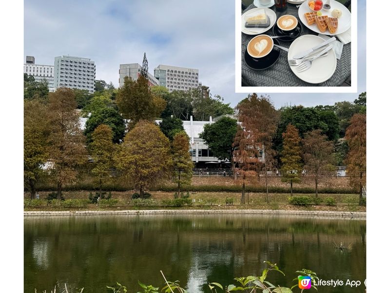 【帶你遊】中大冬日探秘：未圓湖賞紅葉、品茶點、探索著名景點「...