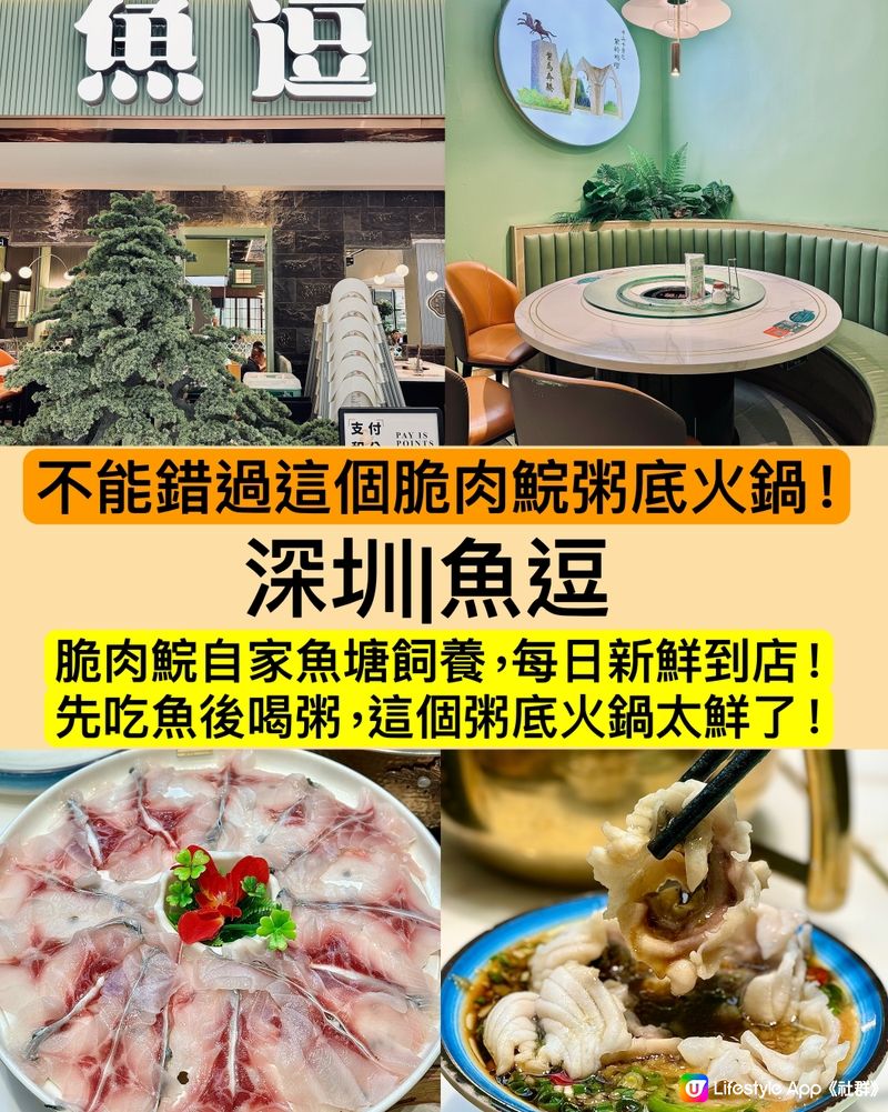 深圳|魚逗|先吃魚後喝粥,這個粥底火鍋太鮮了