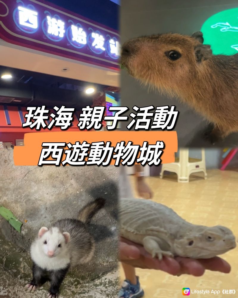 ｛港車北上｝珠海親子活動室內動物園