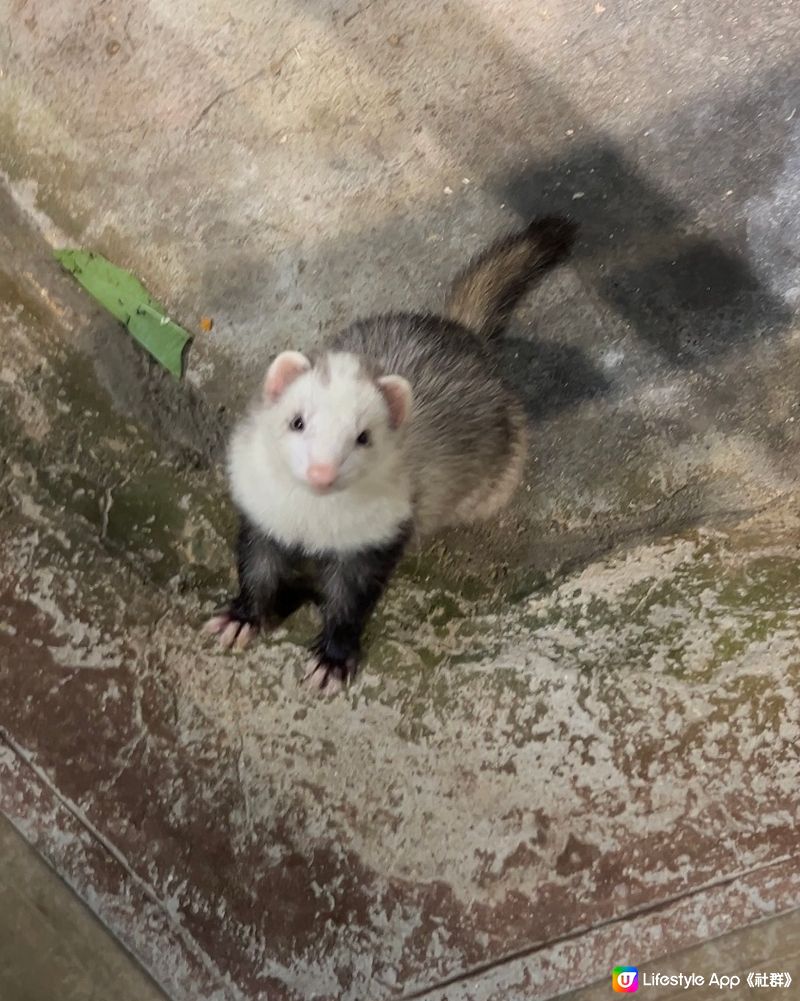 ｛港車北上｝珠海親子活動室內動物園