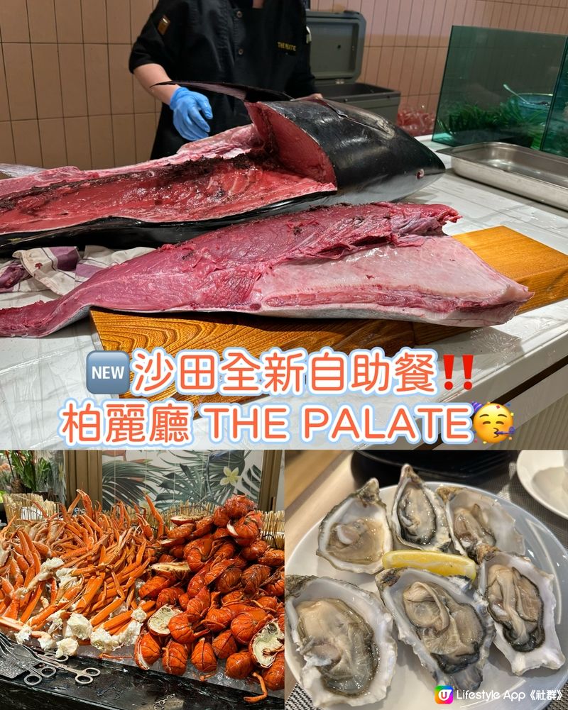 沙田全新自助餐‼️ 柏麗廳 THE PALATE