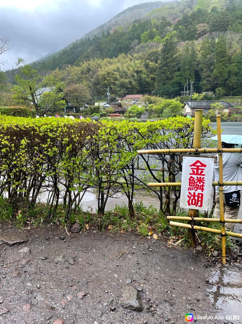 ♨️湯布院又名由布院，是遊覽福岡必到的景點之一，由布院的咖啡...