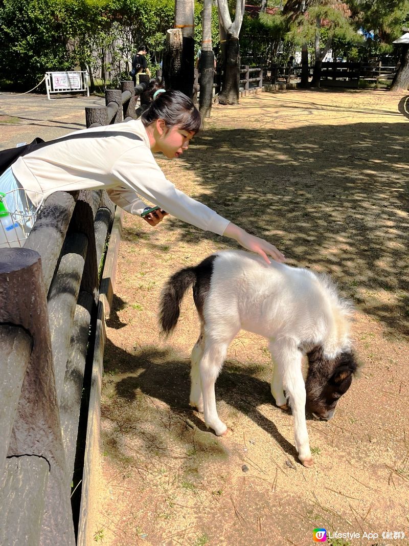 應該係福岡最舒服嘅公園🏞️