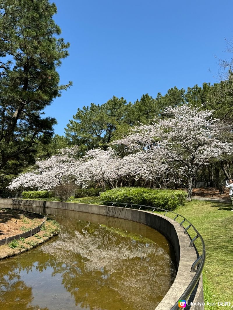 應該係福岡最舒服嘅公園🏞️