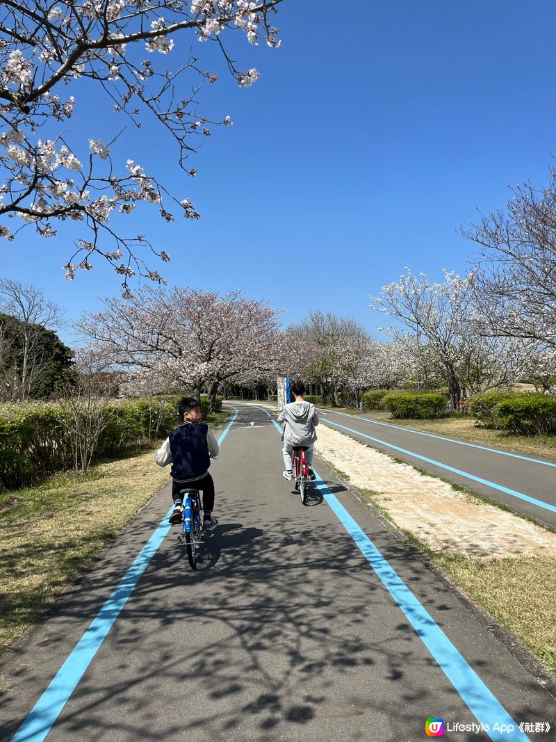 應該係福岡最舒服嘅公園🏞️