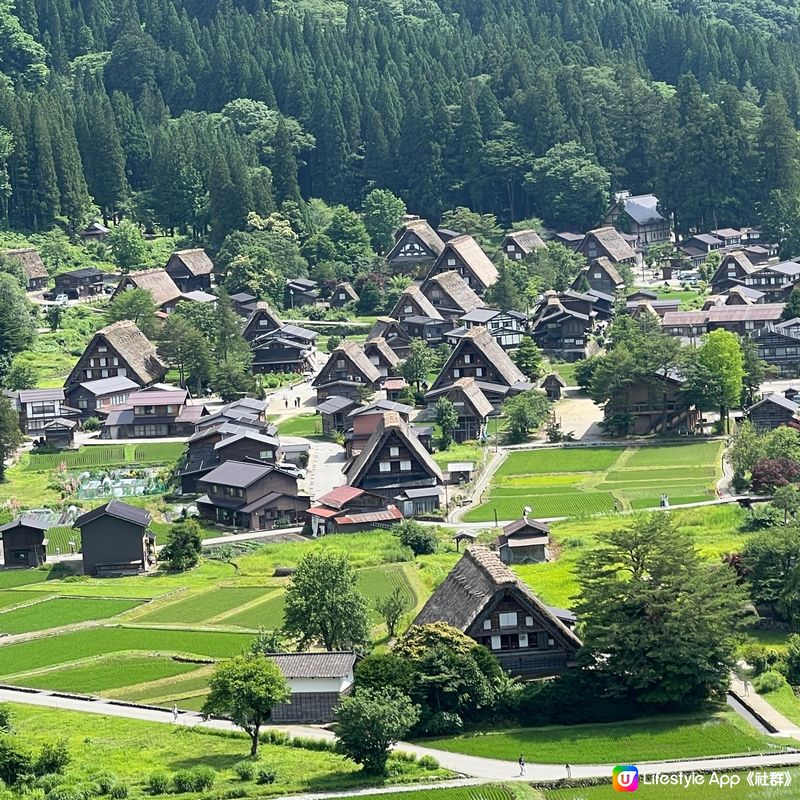 白川鄉合掌村，美到暈😍