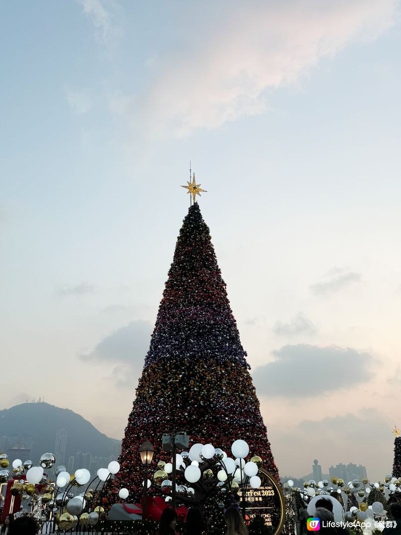 野餐好地方✨🌿🎄滿滿的聖誕休閑氛圍