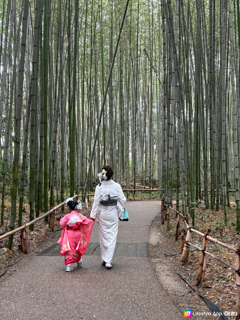 嵐山竹林 🎋