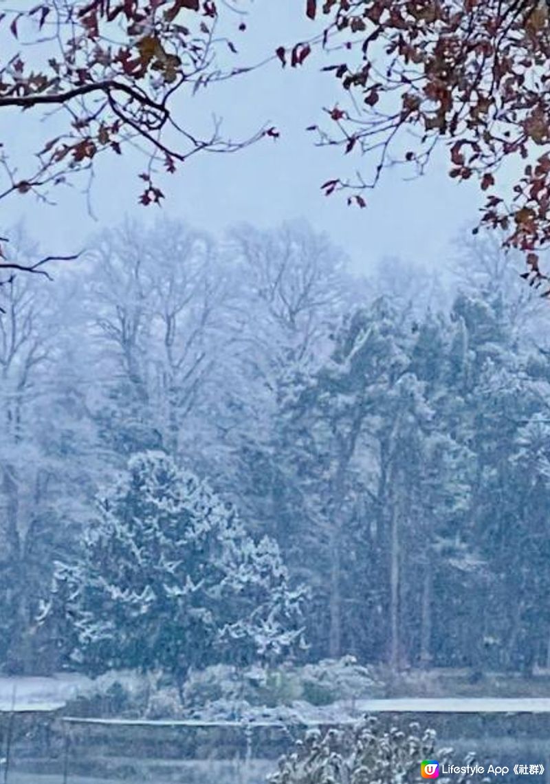 欣賞英國雪後仙境