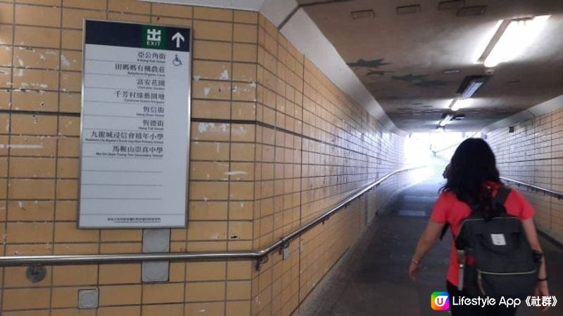 【大水坑至北港行山篇】樹藤王➕竹林隧道