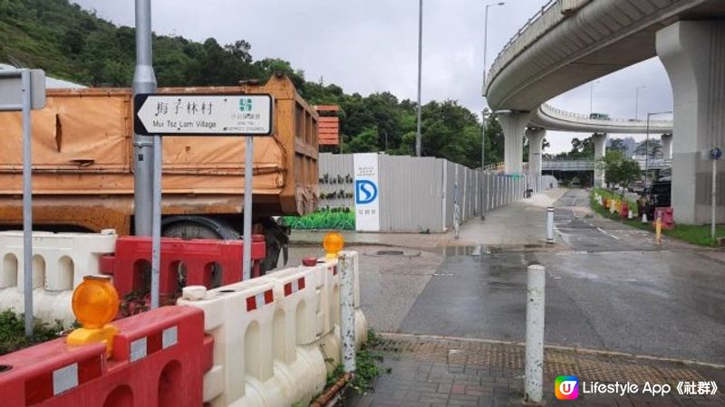 【大水坑至北港行山篇】樹藤王➕竹林隧道