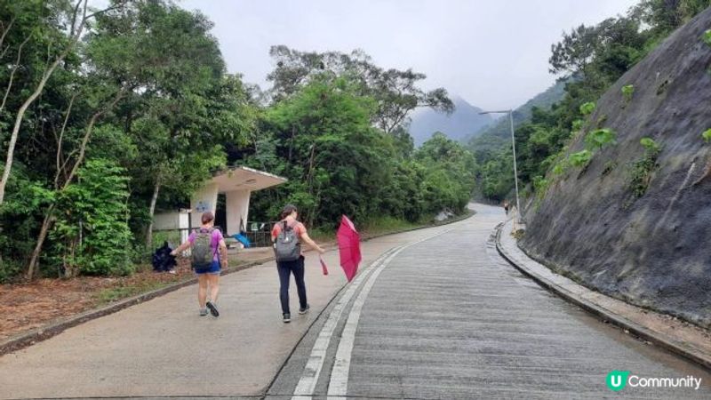 【大水坑至北港行山篇】樹藤王➕竹林隧道