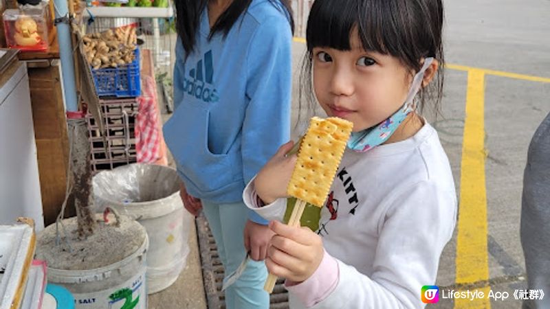 【親子好去處】粉嶺自摘士多啤梨農場大集合