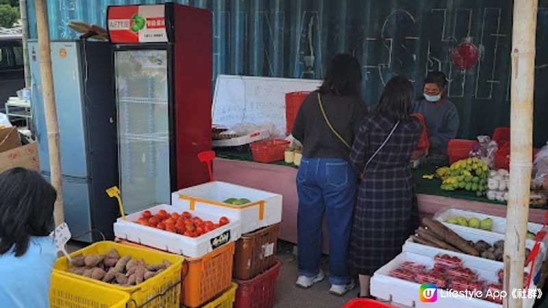 【親子好去處】粉嶺自摘士多啤梨農場大集合