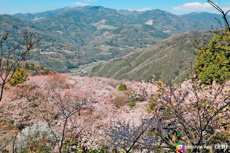 四國小豆島 天使の散步道
