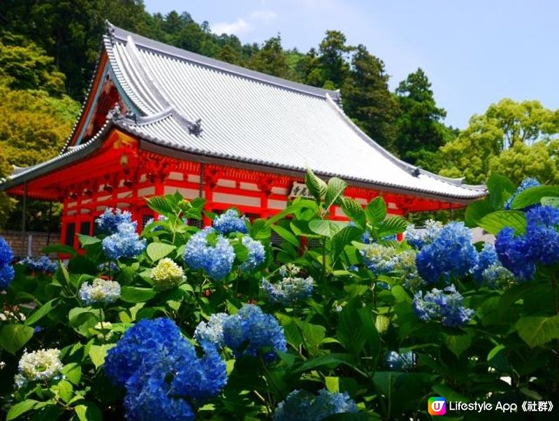 大阪箕面的勝尾寺