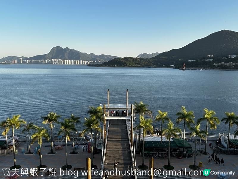 本地遊｜大埔海濱公園｜花種超多賞花必去