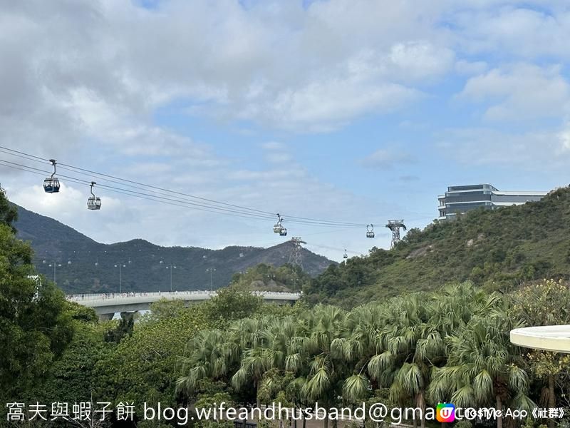 本地遊 | 東涌 | 捉緊櫻花園廣州櫻的尾巴