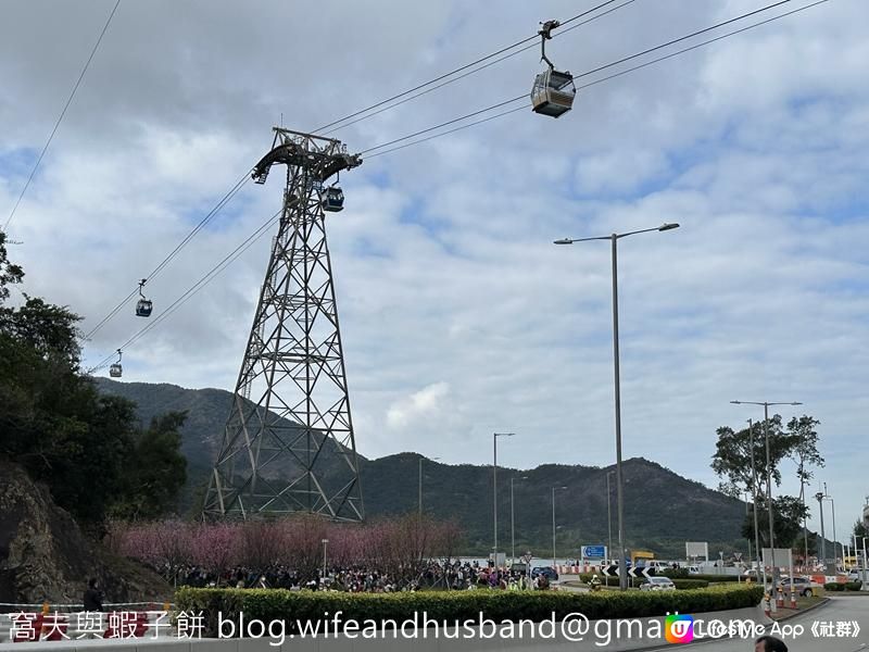 本地遊 | 東涌 | 捉緊櫻花園廣州櫻的尾巴