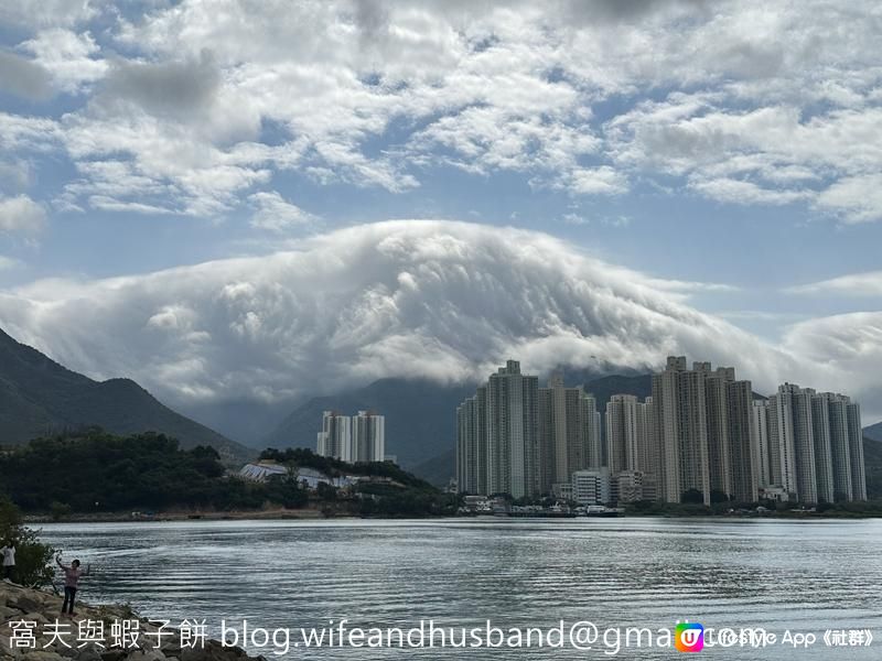 本地遊 | 東涌 | 捉緊櫻花園廣州櫻的尾巴