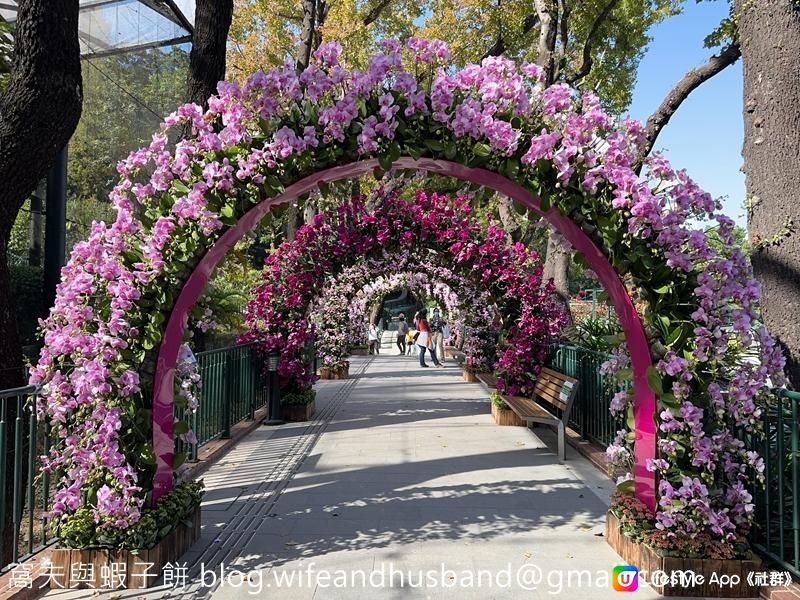 本地遊 | 香港動植物公園 | 必影打卡位蝴蝶蘭花廊