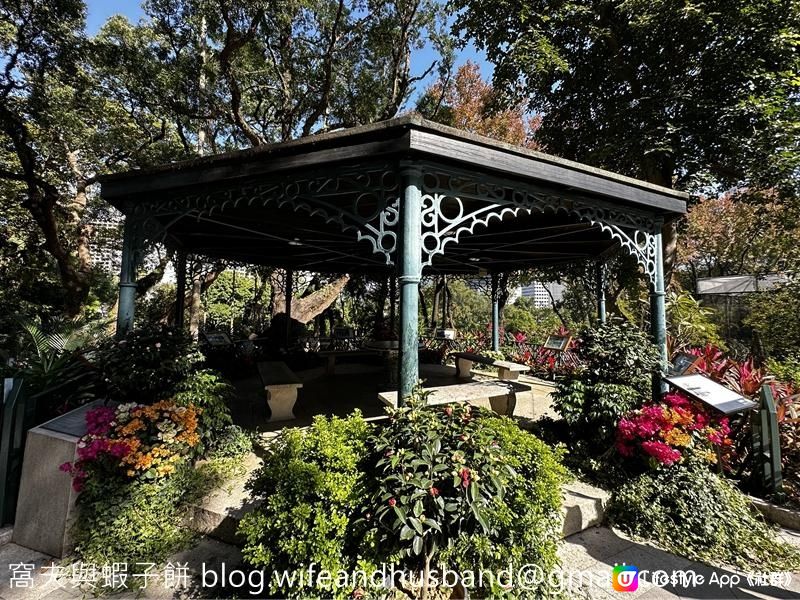 本地遊 | 香港動植物公園 | 必影打卡位蝴蝶蘭花廊