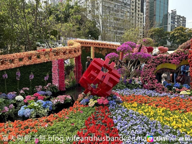 香港賞花 | 維園花展 | 百花齊放篇