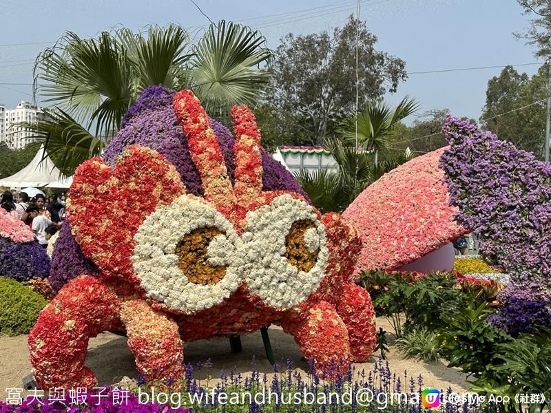 香港賞花 | 維園花展 | 百花齊放篇