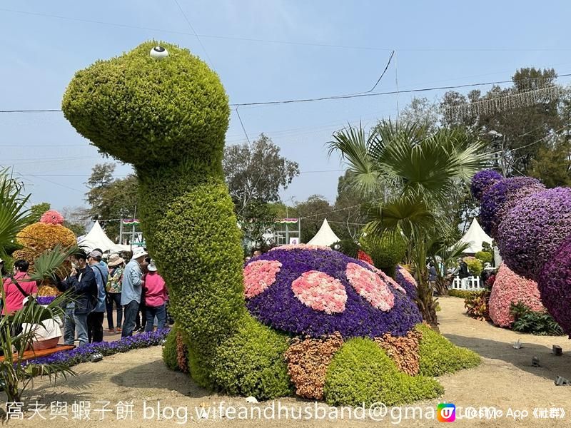 香港賞花 | 維園花展 | 百花齊放篇