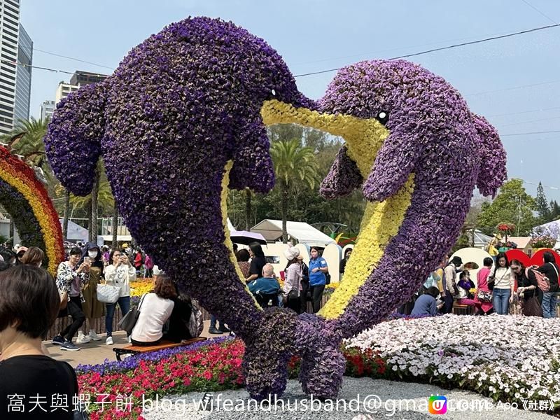 香港賞花 | 維園花展 | 百花齊放篇