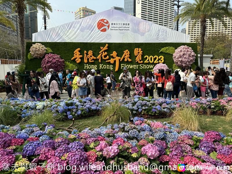 香港賞花 | 維園花展 | 主題花繡球花篇