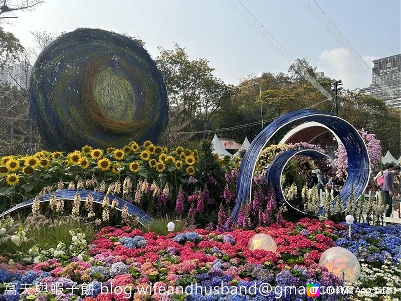 香港賞花 | 維園花展 | 主題花繡球花篇