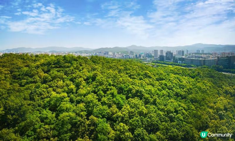 【首爾新酒店Staycation】首爾板橋希爾頓逸林酒店住宿連早晚自助餐優惠