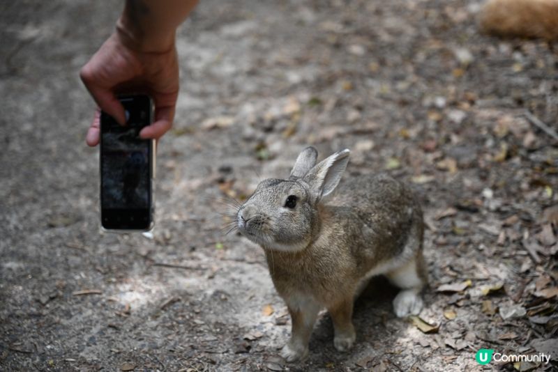 🐇咁樣影都不錯吧！