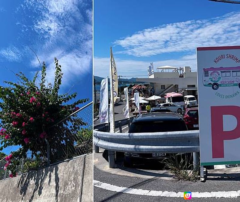 [旅遊] 沖繩一日租車自駕遊古宇利跨海大橋、 Heart Rock心型岩、Shrimp Wagon蝦飯