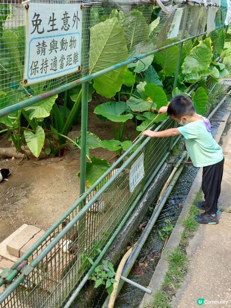 如果係網路上搜尋"農莊推介"，想必很多網站都會出現"十大農莊...