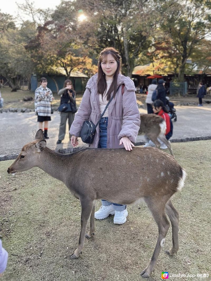 日本旅遊🇯🇵奈良小鹿好挑食 