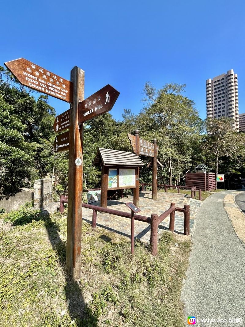 渣甸山一個半小時遠足｜欣賞維港兩岸景致｜踏足「懸空棧道」