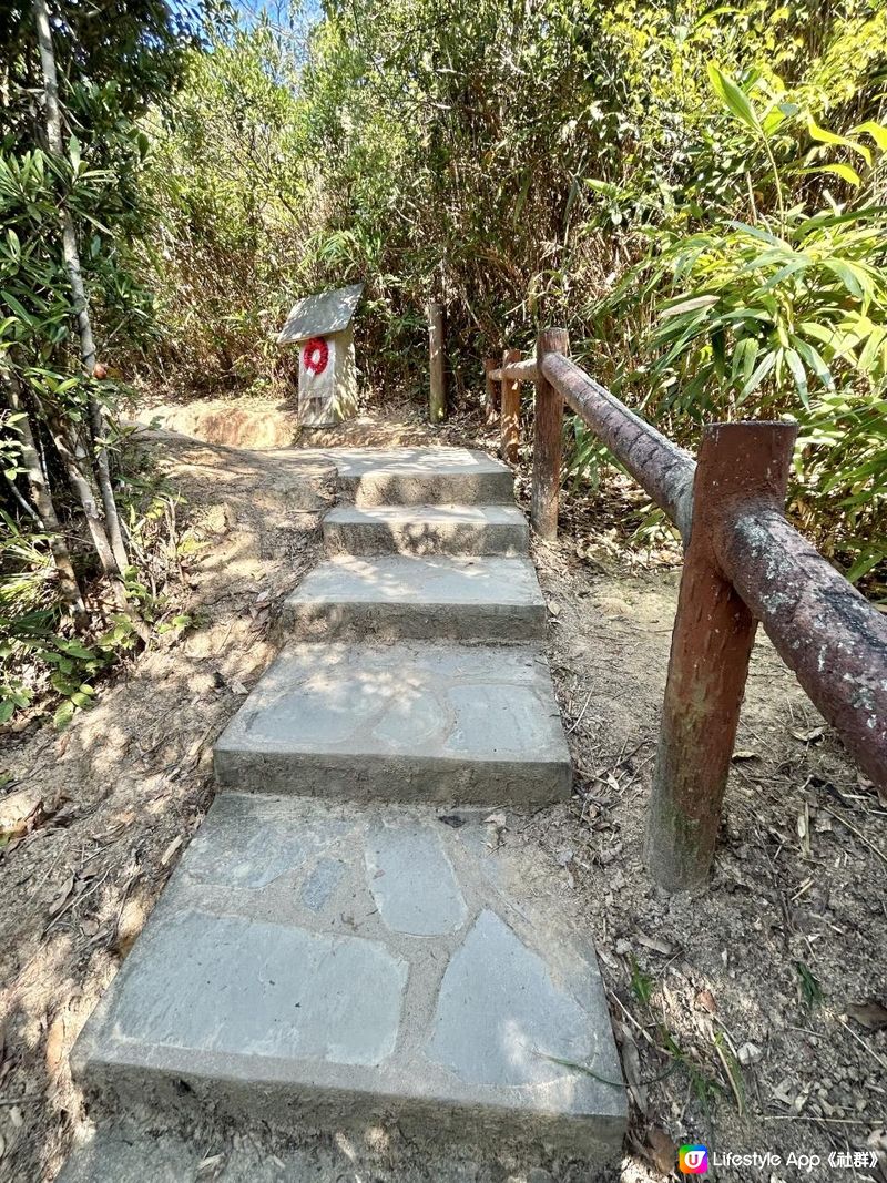 渣甸山一個半小時遠足｜欣賞維港兩岸景致｜踏足「懸空棧道」