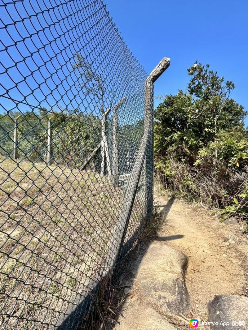 渣甸山一個半小時遠足｜欣賞維港兩岸景致｜踏足「懸空棧道」