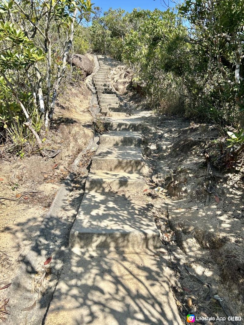 渣甸山一個半小時遠足｜欣賞維港兩岸景致｜踏足「懸空棧道」