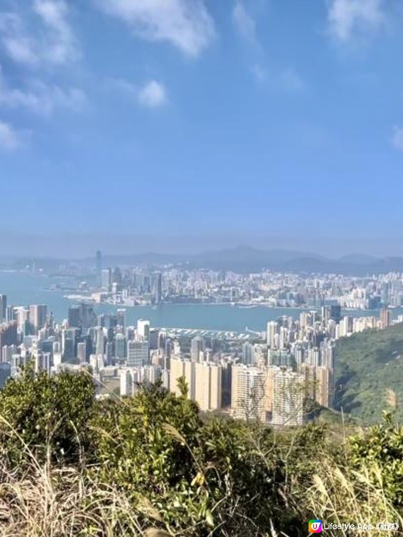 渣甸山一個半小時遠足｜欣賞維港兩岸景致｜踏足「懸空棧道」