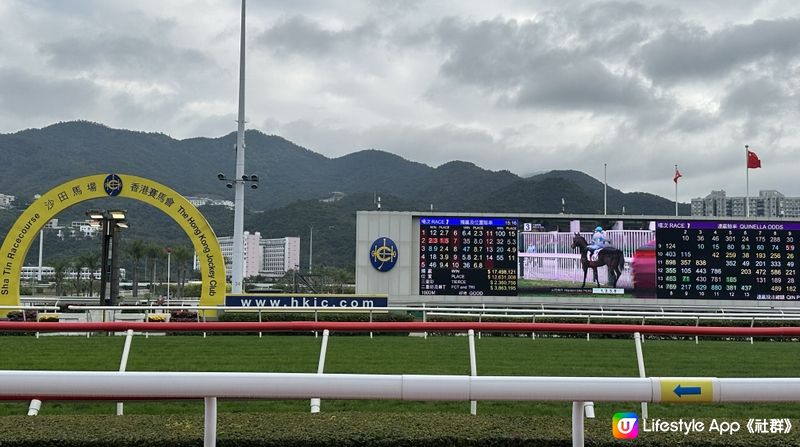 【新年好去處】沙田馬場現場觀賽｜ 百勝廳餐飲體驗分享