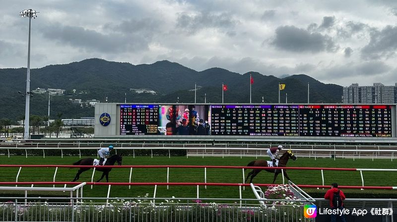 【新年好去處】沙田馬場現場觀賽｜ 百勝廳餐飲體驗分享