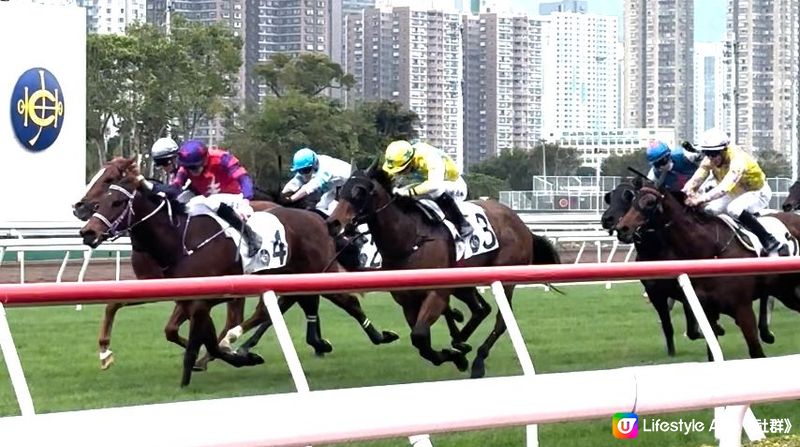 【新年好去處】沙田馬場現場觀賽｜ 百勝廳餐飲體驗分享