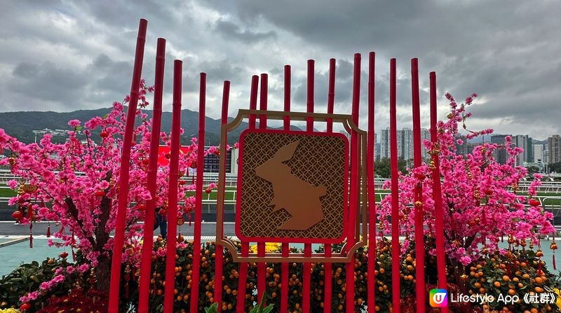 【新年好去處】沙田馬場現場觀賽｜ 百勝廳餐飲體驗分享