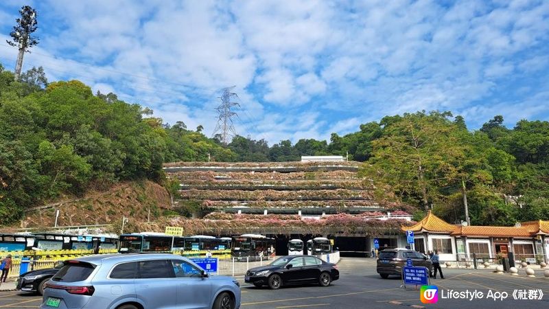 2023落羽杉《深圳仙湖植物園》➕️ 八合里牛肉火鍋 (南湖店)