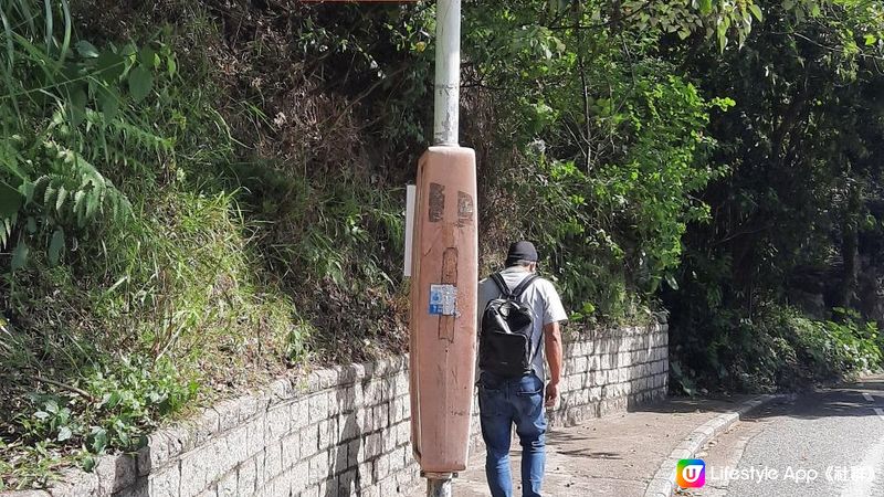 【港島行山篇】班納山、香港仔上水塘/下水塘、下塘坑